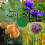 Kit 5 Tutor Estaca para Plantas