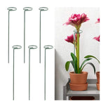 Kit 5 Tutor Estaca para Plantas