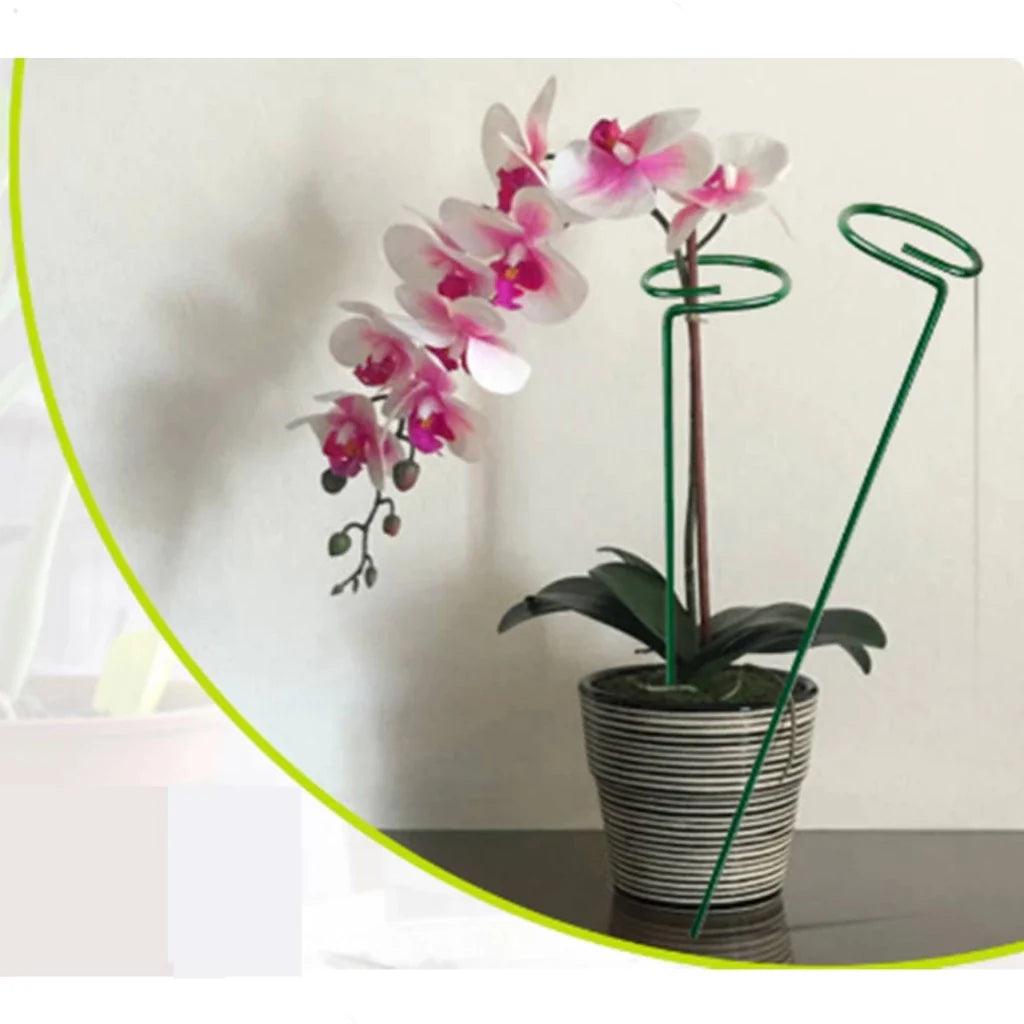 Kit 5 Tutor Estaca para Plantas