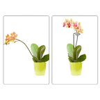 Kit 5 Tutor Estaca para Plantas
